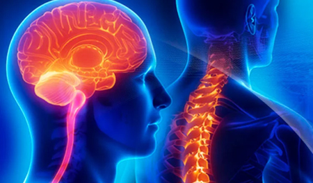 Tumors & Infections (Brain & Spine)